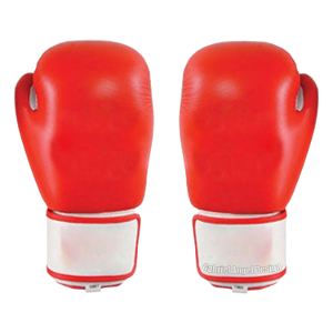 Boxing Gloves