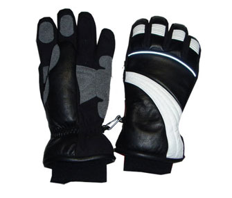  	 Ski Gloves